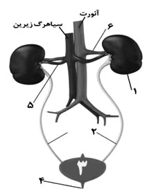 دریافت سوال 8