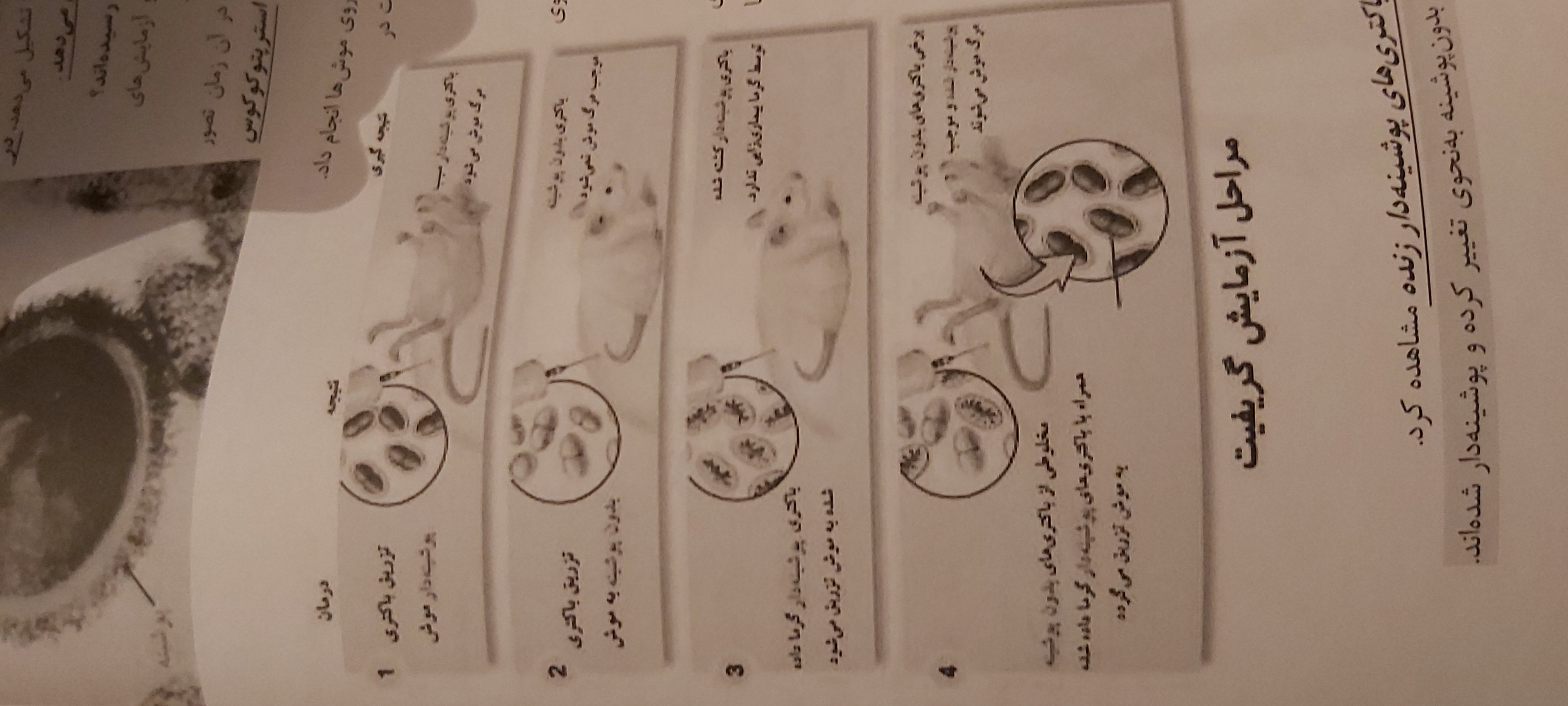 دریافت سوال 1