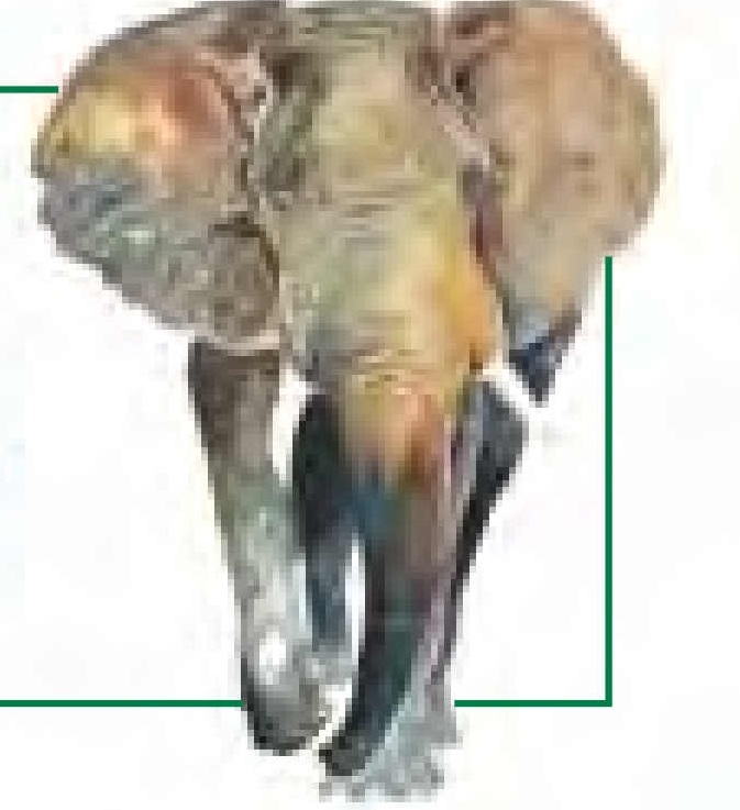 دریافت سوال 1