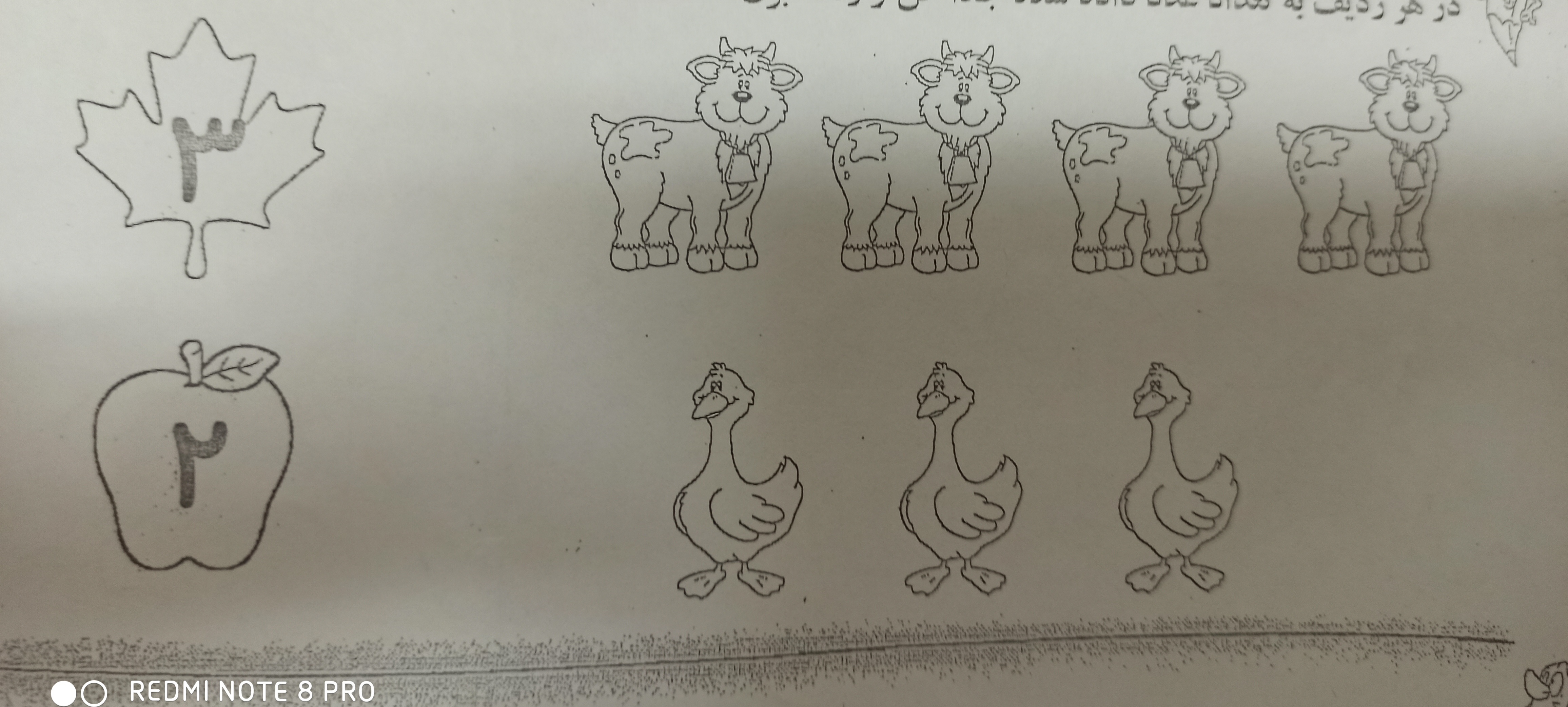 دریافت سوال 5