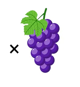 دریافت سوال 5