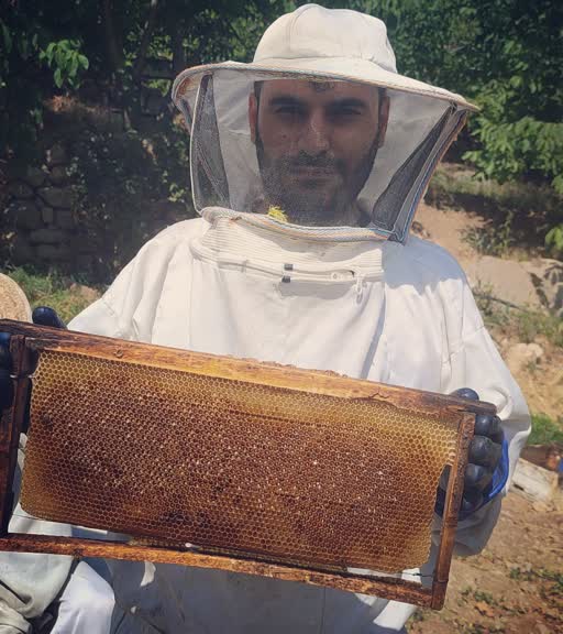 عسل قالیکوه