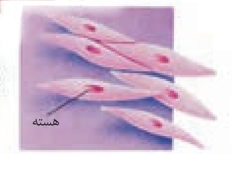 دریافت سوال 4