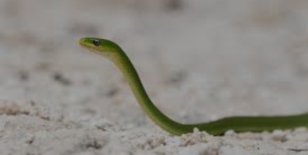 دریافت سوال 11