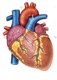 دریافت سوال 16