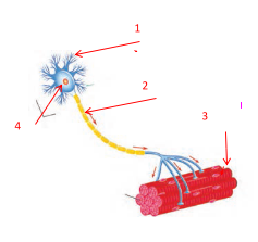 دریافت سوال 4