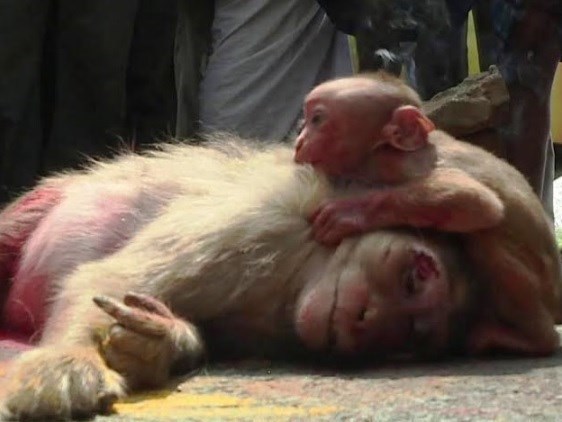 دریافت سوال 2