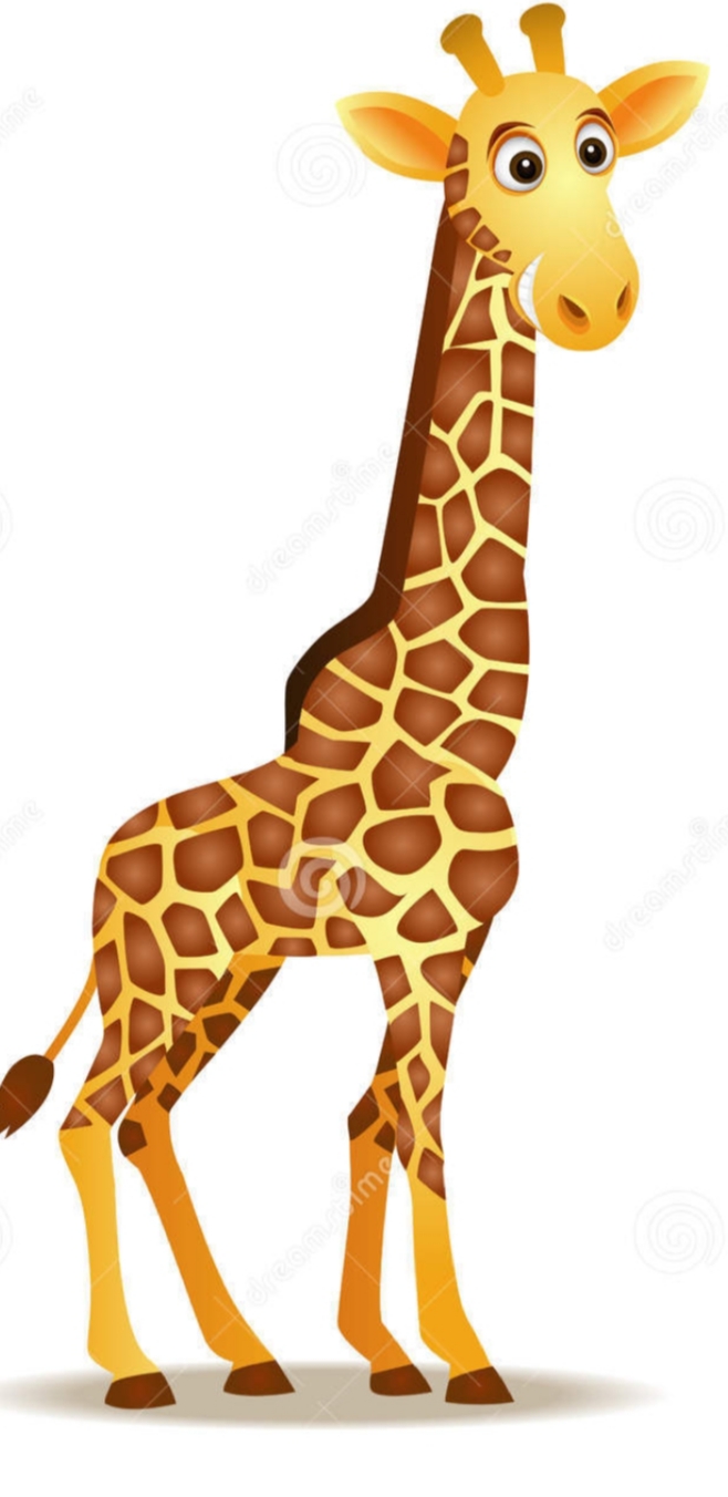 دریافت سوال 12