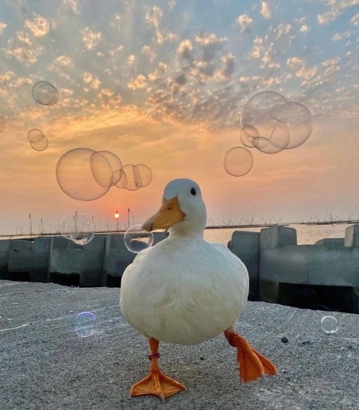 ☆