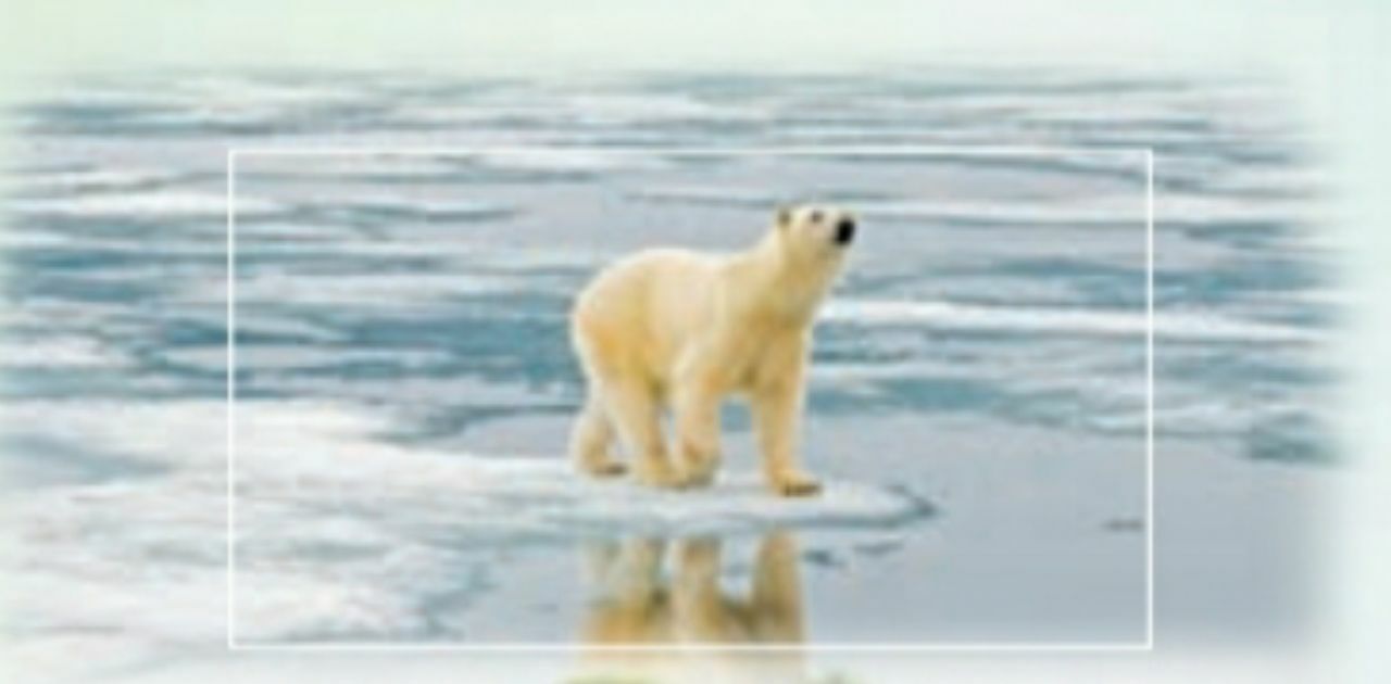 دریافت سوال 8