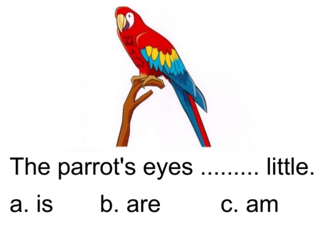 دریافت سوال 34