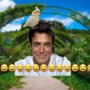 img of sticker