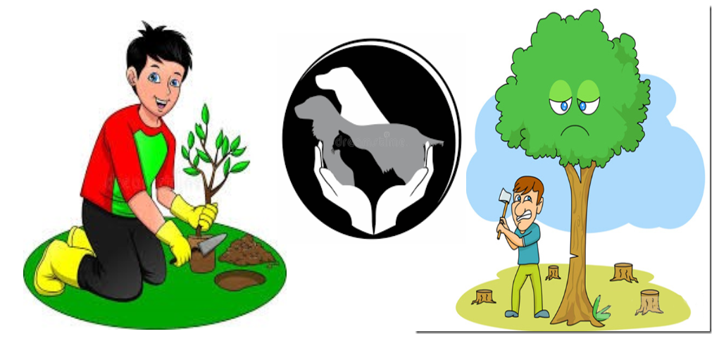 دریافت سوال 1