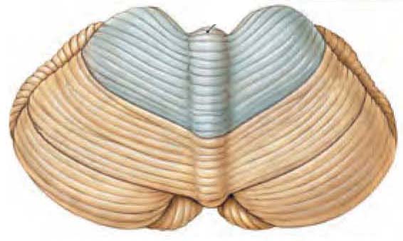 دریافت سوال 2