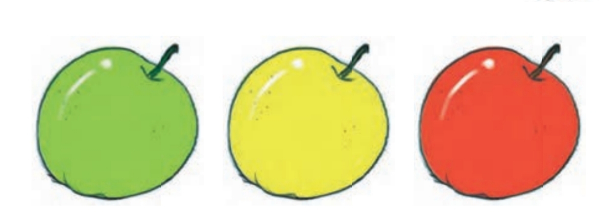 دریافت سوال 13