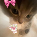 img of sticker
