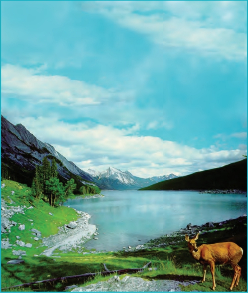 دریافت سوال 1