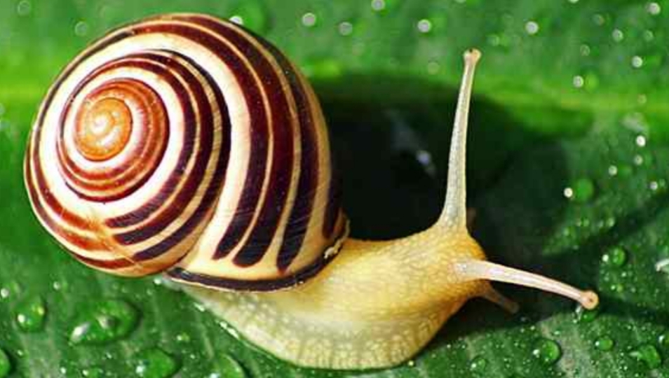 دریافت سوال 1