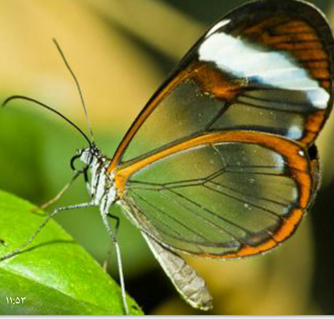 دریافت سوال 5