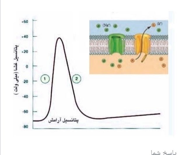 دریافت سوال 9