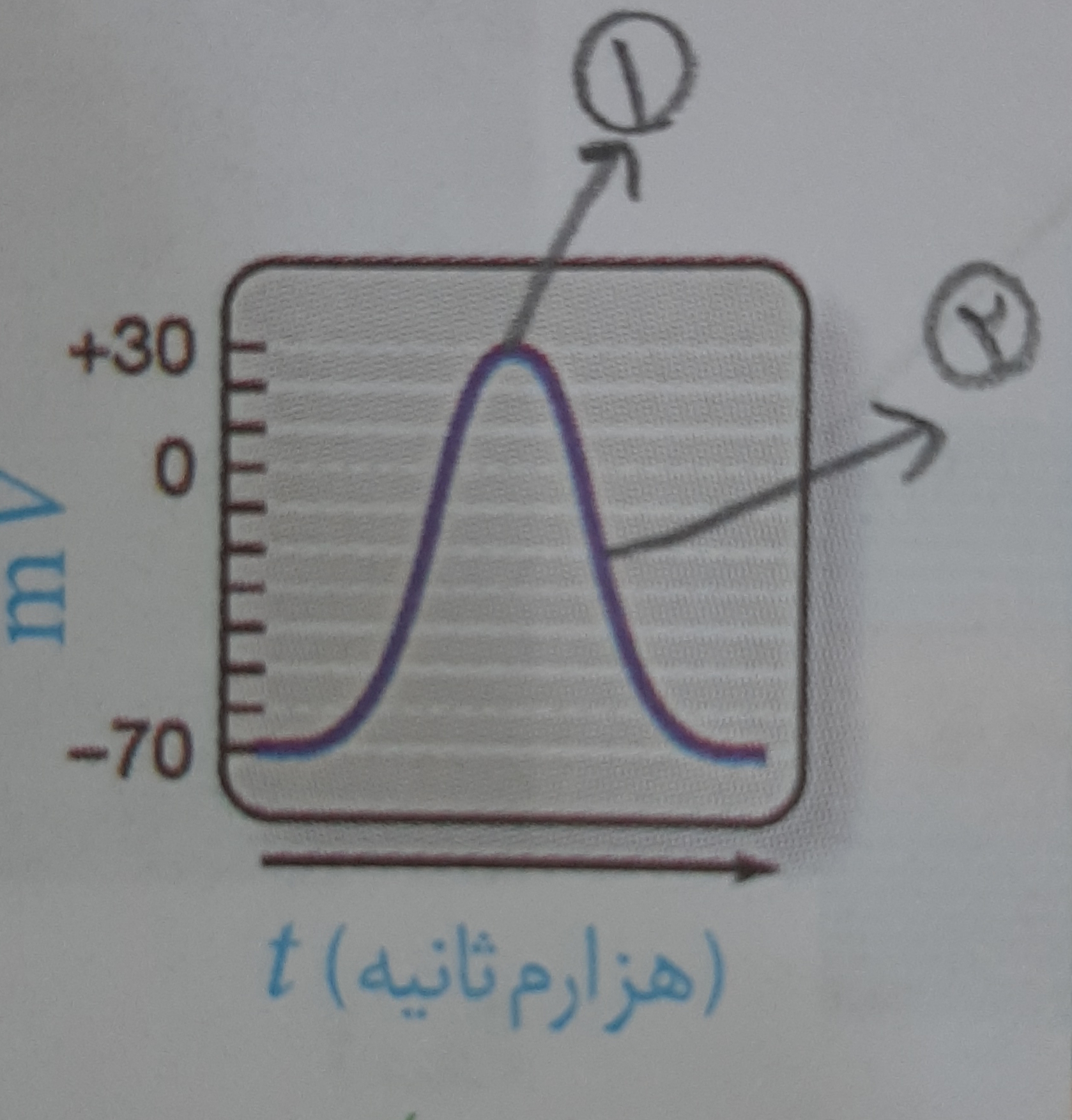 دریافت سوال 5