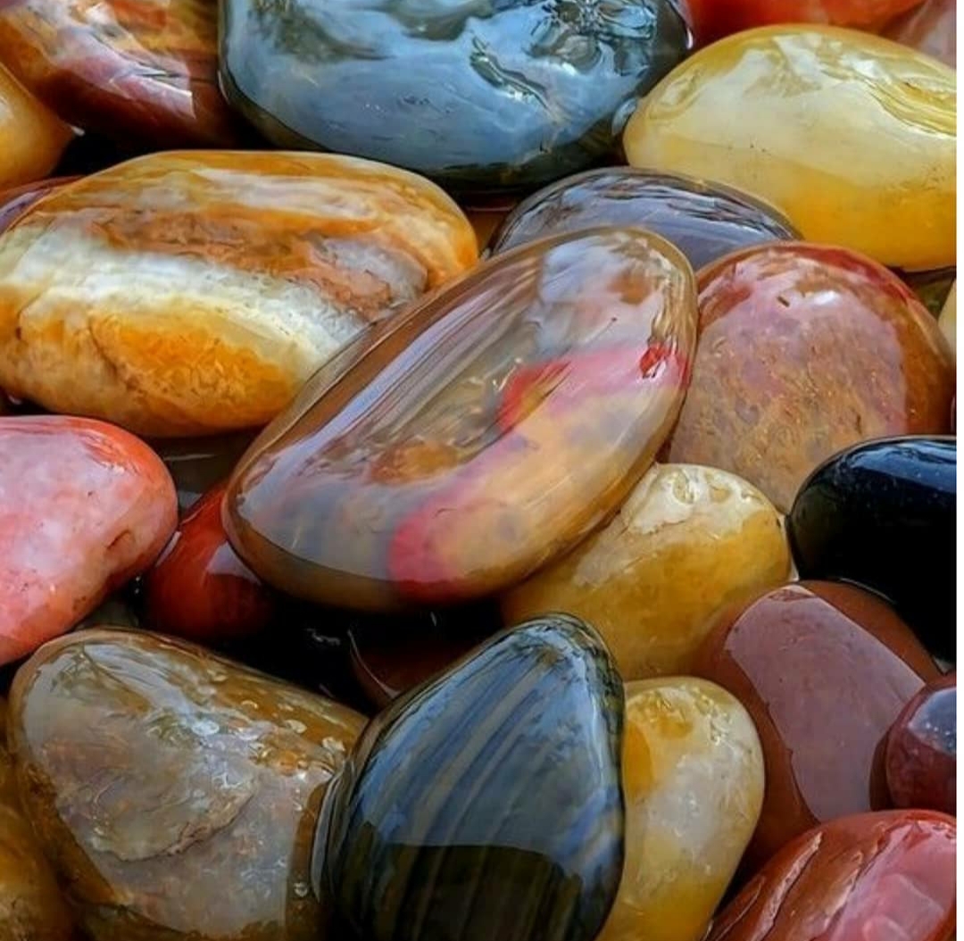 دریافت سوال 1