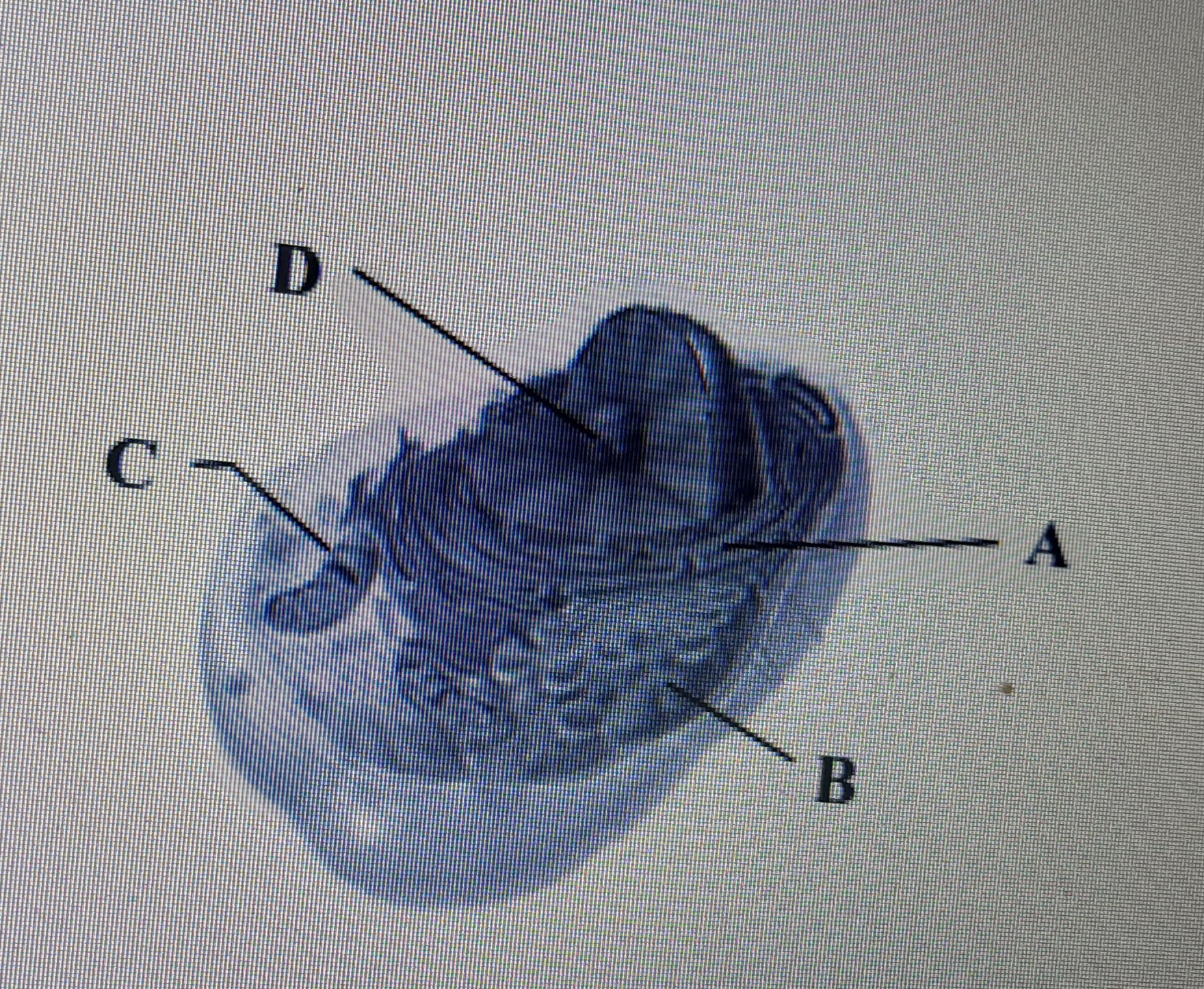دریافت سوال 3