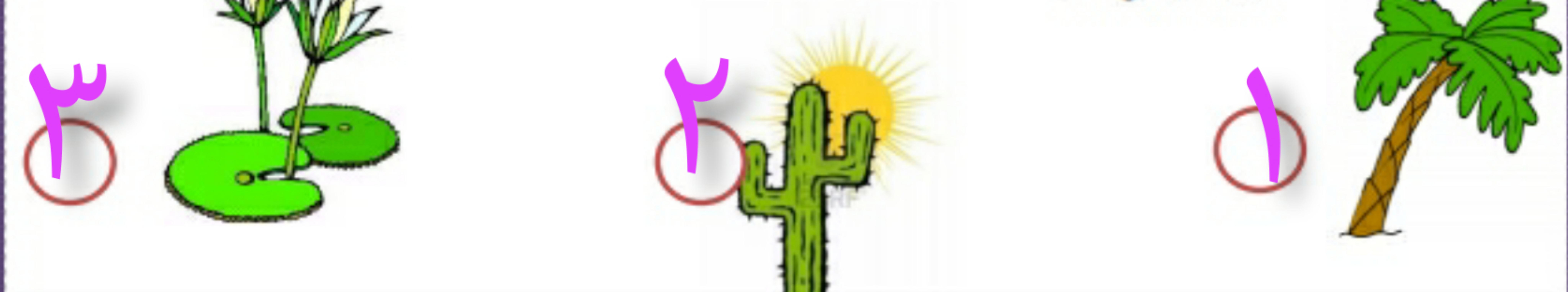 دریافت سوال 2