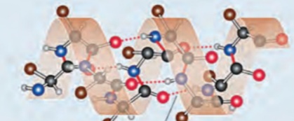 دریافت سوال 1