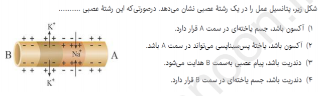 دریافت سوال 12