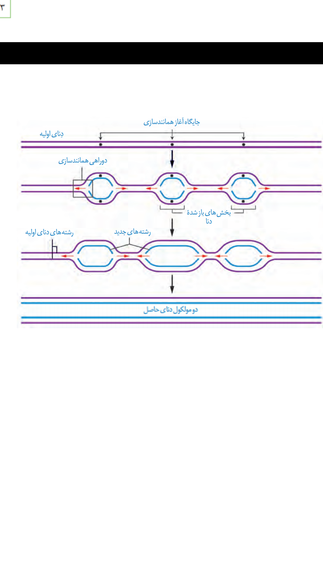 دریافت سوال 10