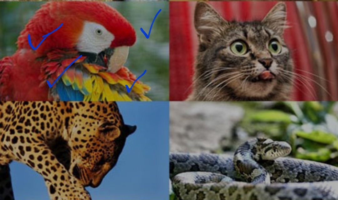 دریافت سوال 9