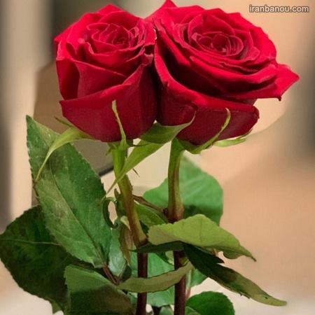 دریافت سوال 2