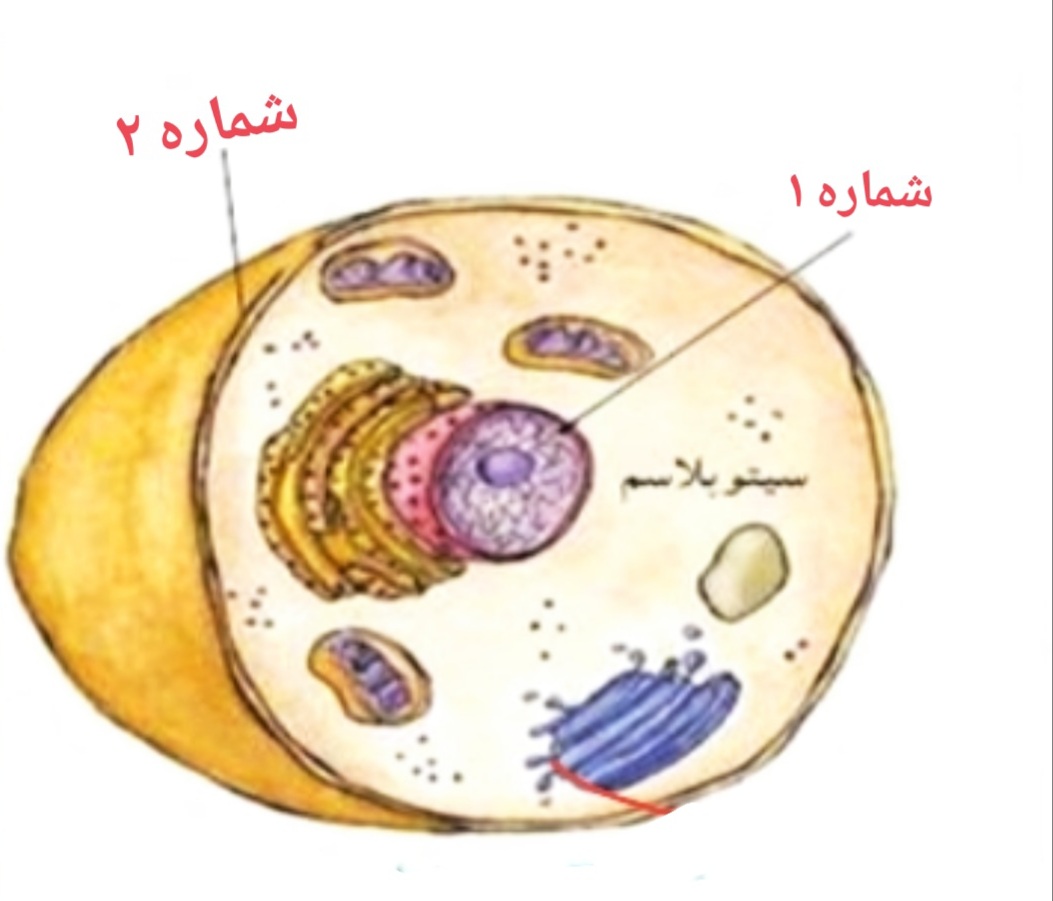 دریافت سوال 3