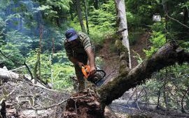 دریافت سوال 42