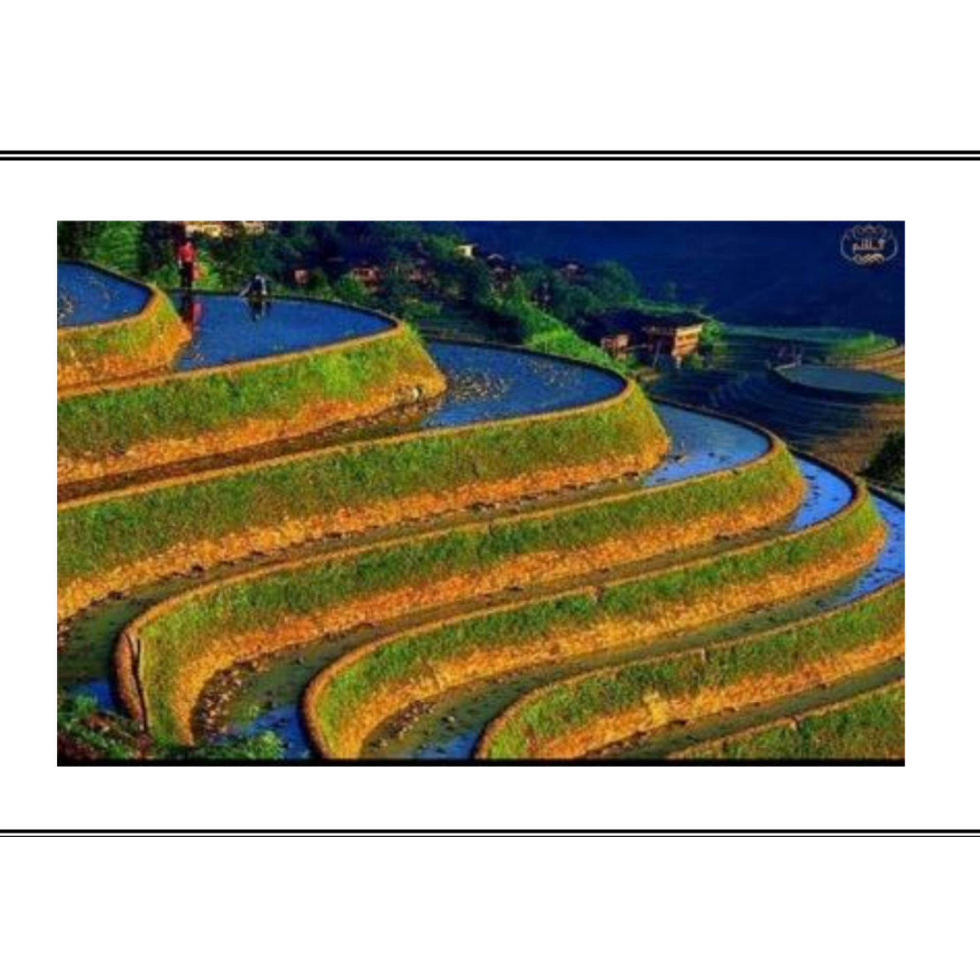 دریافت سوال 5