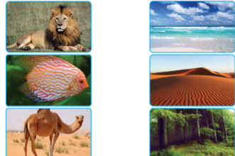 دریافت سوال 2