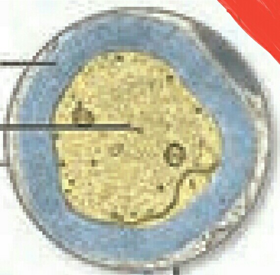 دریافت سوال 1