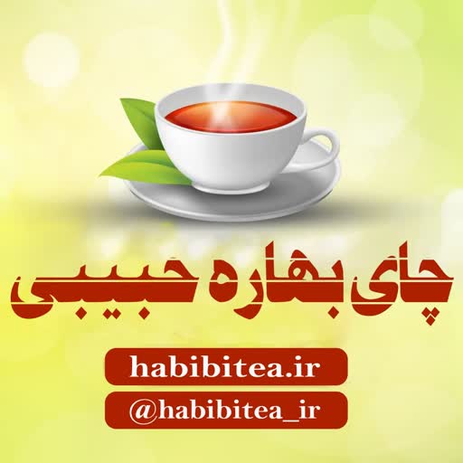 چای بهاره گیلان |حبیبی