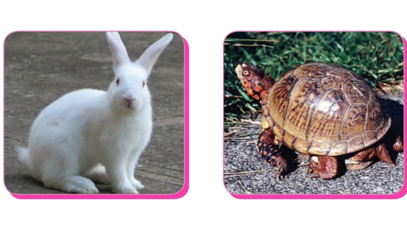 دریافت سوال 21