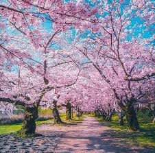 دریافت سوال 10