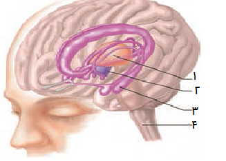 دریافت سوال 8
