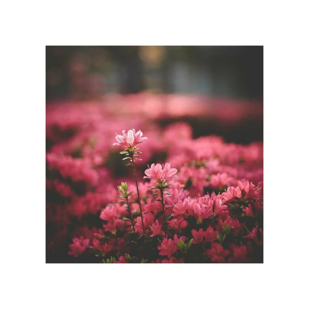 دریافت سوال