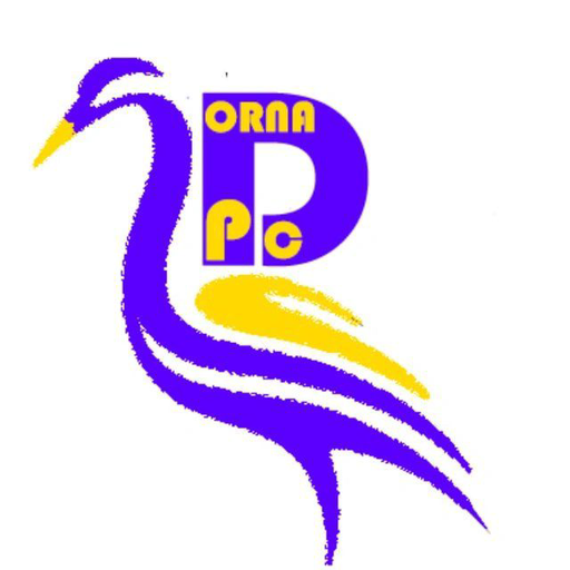 درنا پی سی | Dorna PC