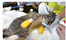 دریافت سوال 5