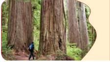 دریافت نام مدرسه