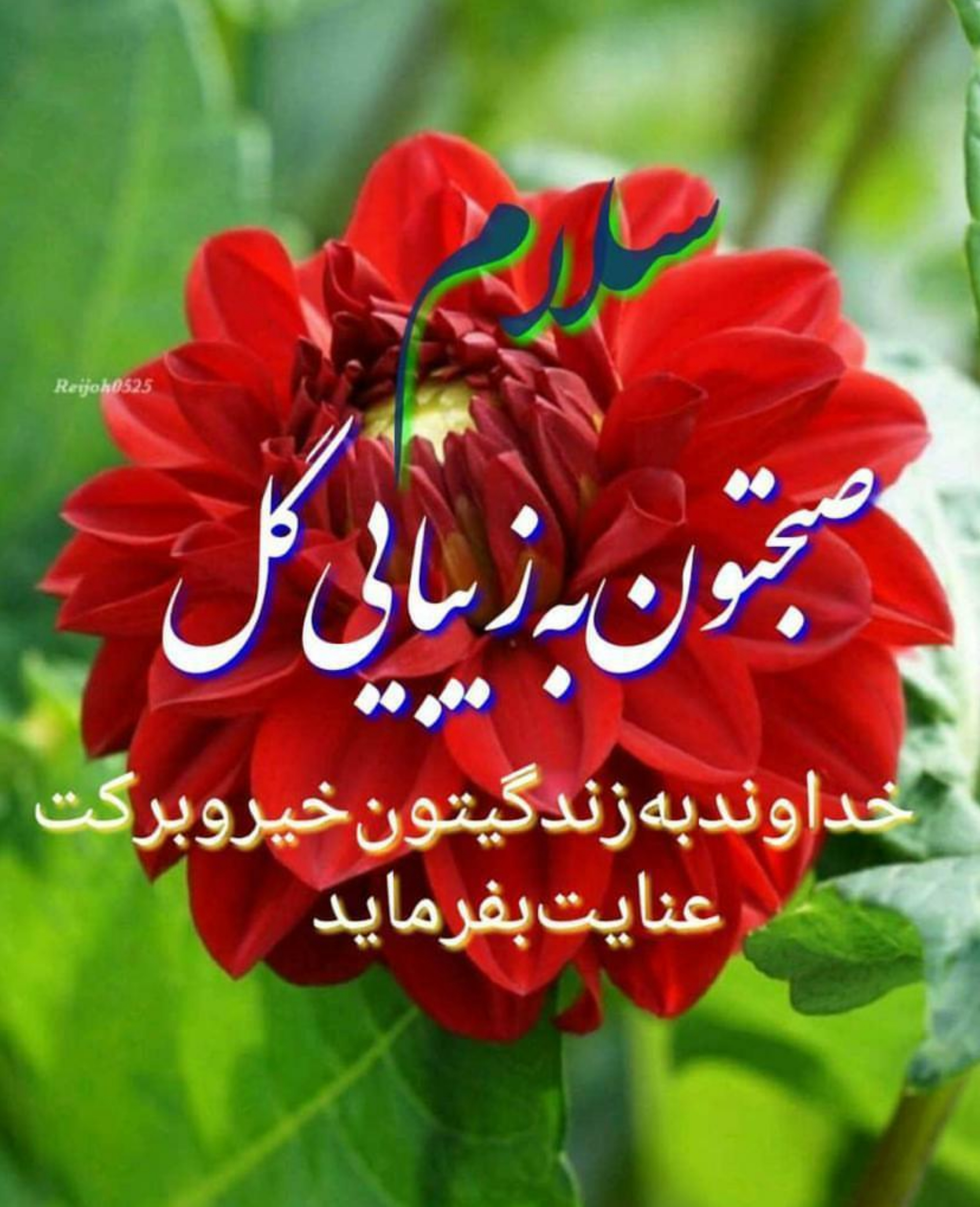 دریافت سوال 1