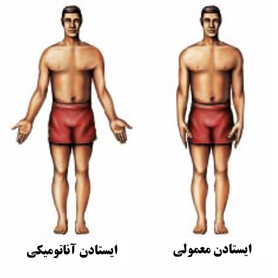 دریافت سوال 7