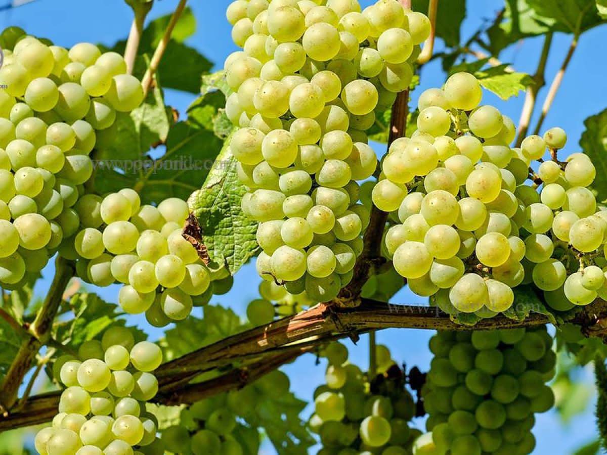 دریافت سوال 14