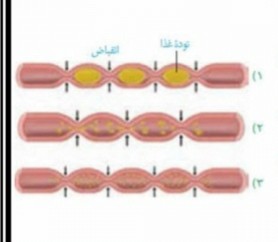 دریافت سوال 2